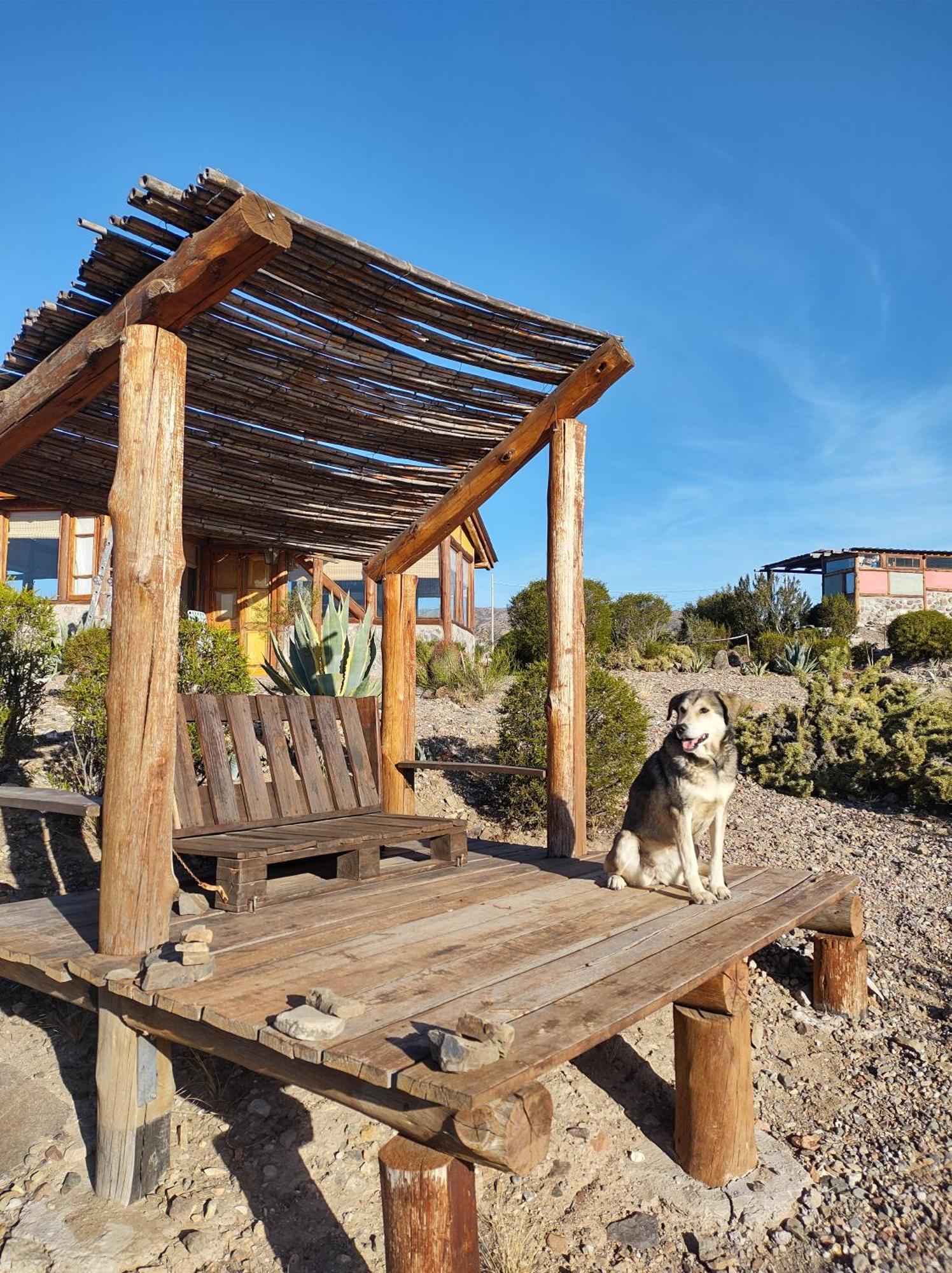 Cabana La Mostacita - Complejo El Taller Potrerillos Eksteriør billede