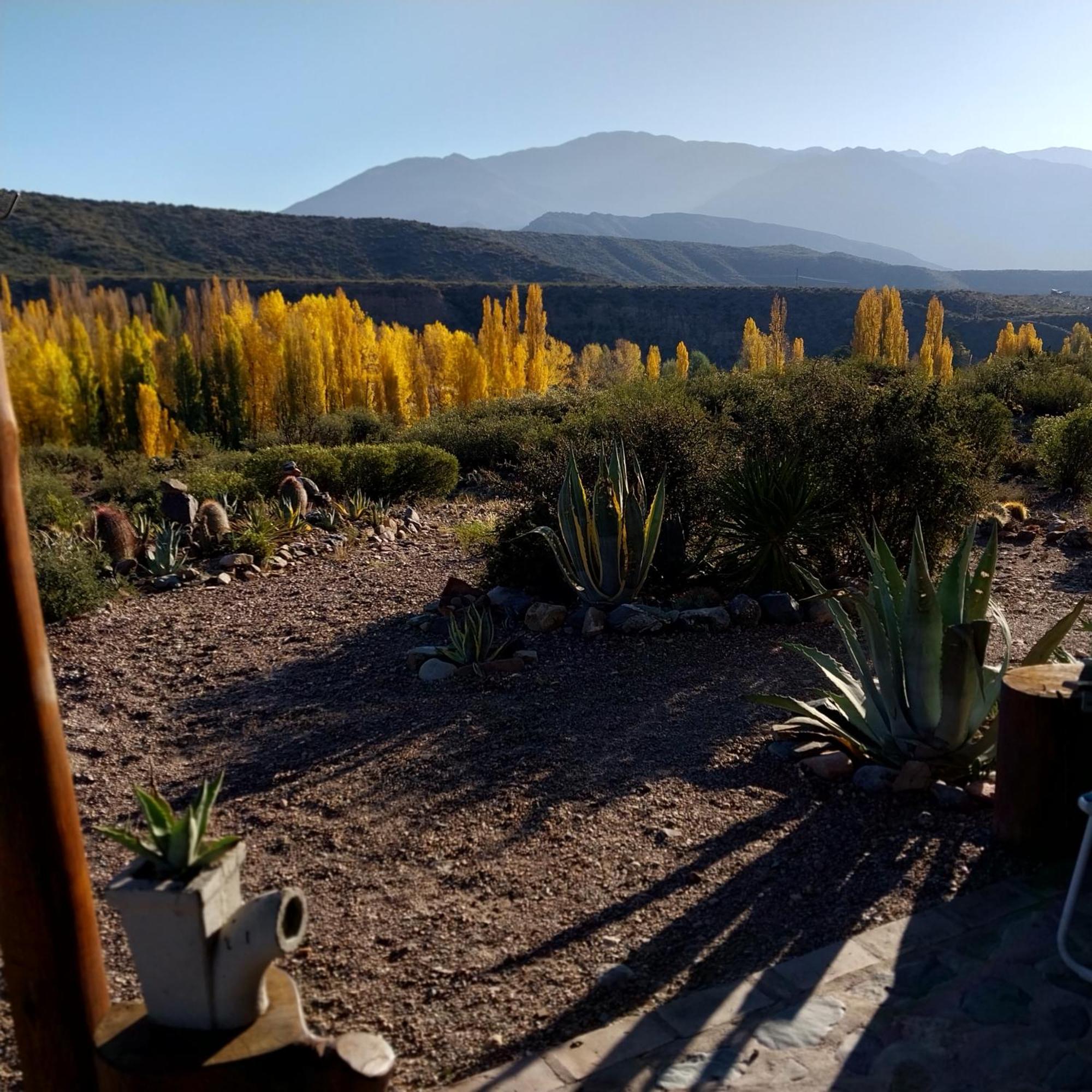 Cabana La Mostacita - Complejo El Taller Potrerillos Eksteriør billede